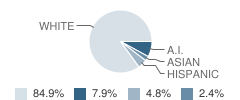 Ashley Valley Education Center (Alternative) School Student Race Distribution