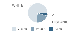 Lighthouse Learn Center (Alternative) School Student Race Distribution