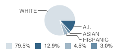 Neola School Student Race Distribution