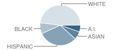 James E Moss School Student Race Distribution