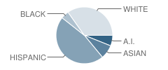 Lincoln School Student Race Distribution