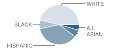 Roosevelt School Student Race Distribution