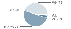 Western Hills School Student Race Distribution