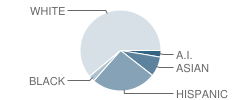 Truman School Student Race Distribution