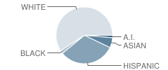 Copper Hills School Student Race Distribution