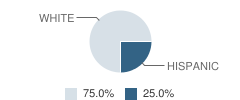 Observation & Assessment (Yic) School Student Race Distribution