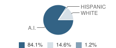 Bluff School Student Race Distribution