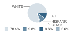 Tooele High (South Campus) School Student Race Distribution