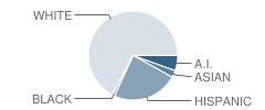 Millcreek High (Alternative High School) Student Race Distribution