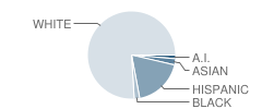 Sand Ridge Jr High School Student Race Distribution