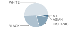 General Stanford Elementary School Student Race Distribution