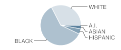 Creekside Elementary School Student Race Distribution