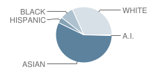 Rosa Lee Carter Elementary School Student Race Distribution