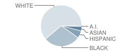 Potomac Elementary School Student Race Distribution