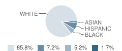 Mcgaheysville Elementary School Student Race Distribution