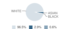 Rumney School (Middlesex) Student Race Distribution