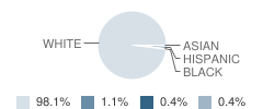 Richford High School (Junior / Senior) Student Race Distribution