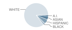 Larrabee Elementary School Student Race Distribution