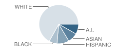 Renaissance Alternative High School Student Race Distribution
