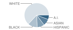 As #1 (Pinehurst) K-8 School Student Race Distribution