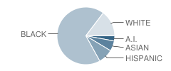 Leschi Elementary School Student Race Distribution