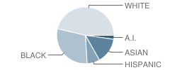 Orca (Columbia) School Student Race Distribution