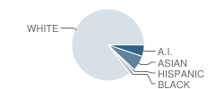 Explorer Academy Student Race Distribution