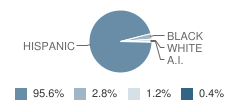 Adv Lang & Academy Studies (Alas) Student Race Distribution