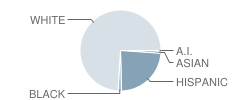 Abbotsford High School (Junior / Senior) Student Race Distribution