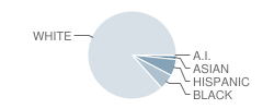 Woodland Elementary School Student Race Distribution