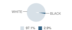 Florence Middle School Student Race Distribution