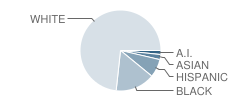Marquette Elementary School Student Race Distribution