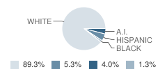 South Shore High School (Junior / Senior) Student Race Distribution
