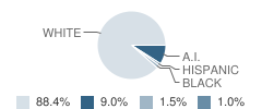 Shell Lakeprimary (K-2) School Student Race Distribution