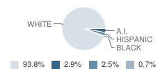 Shell Lake High School (Junior / Senior) Student Race Distribution