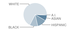 Savanna Oaks Middle School Student Race Distribution