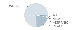 Park Junior High School Student Race Distribution